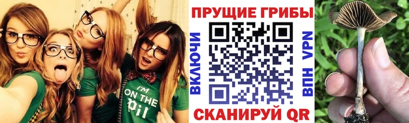 Псилоцибиновые грибы MAGIC MUSHROOMS Моршанск